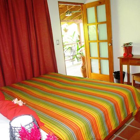 סנטה קתרינה Hotel Iguanito מראה חיצוני תמונה