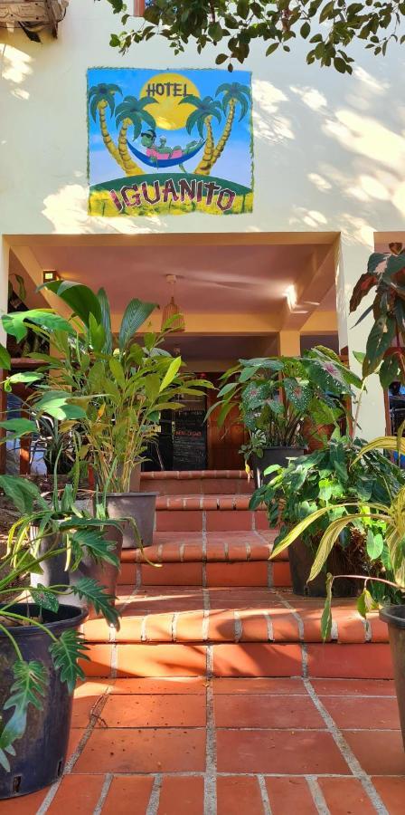 סנטה קתרינה Hotel Iguanito מראה חיצוני תמונה