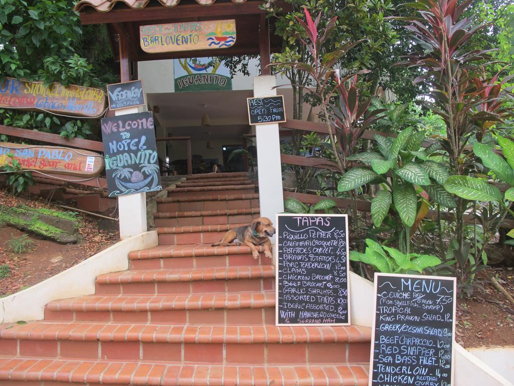 סנטה קתרינה Hotel Iguanito מראה חיצוני תמונה